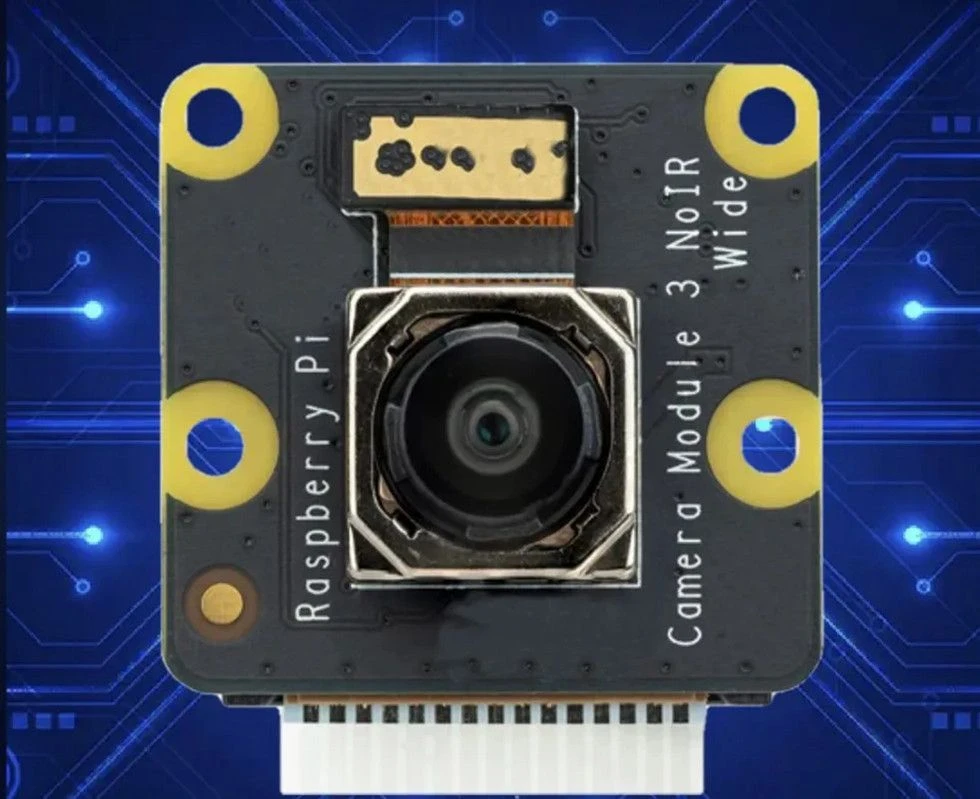 Raspberry Pi Camera Module